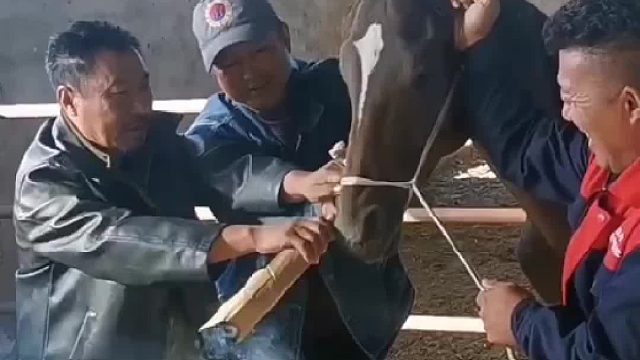 马：这辈子我都没想过我还能抽上烟