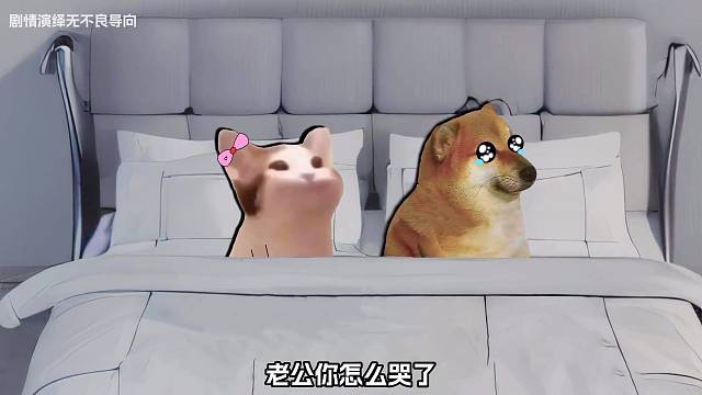 你没钱不帅你该怎么办