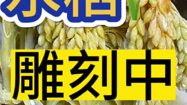 谁知盘中餐，粒粒皆辛苦，纯手工雕刻~水稻！