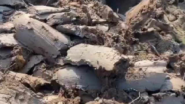 男子户外抓黄鳝，拿着铁锹一路追着挖，不禁让人调侃！