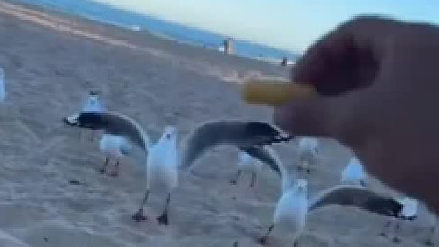 海鸥：劳资蜀道山