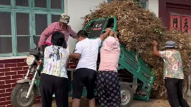 果然姜还是老的辣，临危不惧哈哈