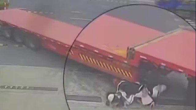 电动车进入大车视野盲区人被卷进车底幸好人完好无损！