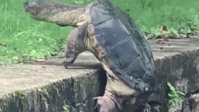 用尽全身力气之后必须要歇一会儿