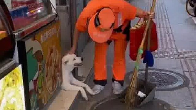 环卫工阿姨闲暇时逗狗狗，摸摸爪子摸摸头狗子十分配合，画面十分和谐治愈！