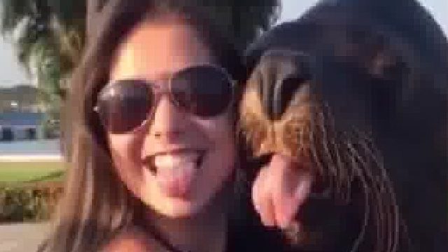 海狮：好了下一位