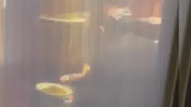 顾客吃饭发现服务员疑似偷吃，饭店：角度问题，服务员当时在打喷嚏捂鼻子