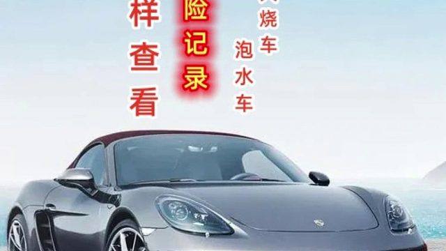 出险记录怎么看？二手车、事故历史、维修项目、车损理赔等信息?#出险记录 #事故车