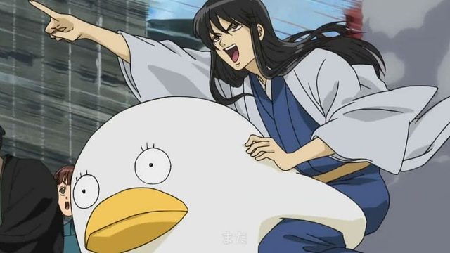 没想到竟然一眼认出我伊丽莎白，还联手夺冠