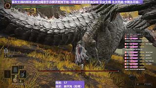 【沐】輪椅篇2-崩壞流番外篇58 姐姐龍（韌性分類：霸體）