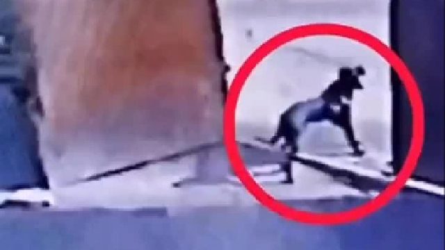 谁知道被打的原因