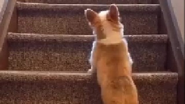 虽然摔下来很狼狈，但是你努力的背影真的很帅