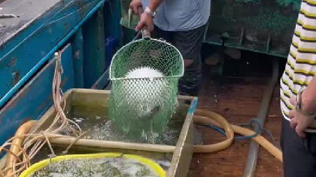 猜猜这是在干嘛