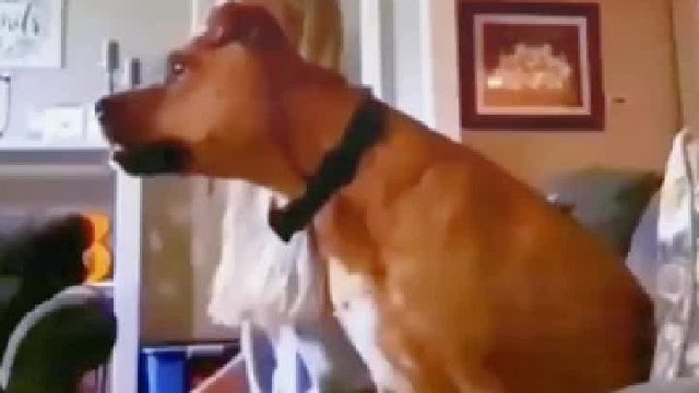 比球迷还着迷！