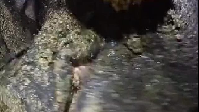 这特么跟我老婆一个样……