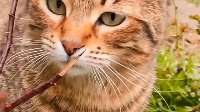 我发布了一个新视频，快来围观吧！