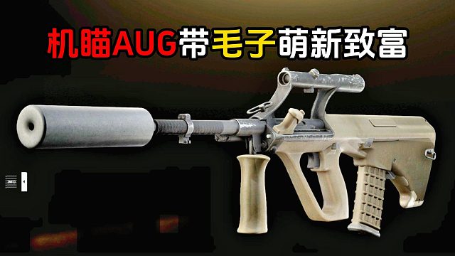 机瞄AUG 好用！ 老玩家带毛子萌新致富 逃离塔科夫