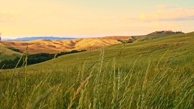 感谢有您们陪伴