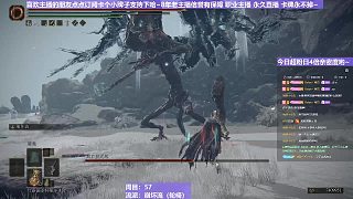 【沐】輪椅篇2-崩壞流番外篇70 最強死鳥（韌性分類：霸體）