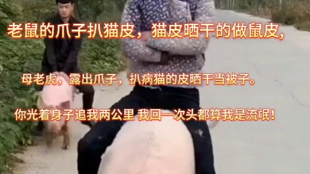 老鼠的爪子扒猫皮，猫皮晒干的做鼠皮，母老虎，露出爪子，扒病猫的皮晒干当被子。