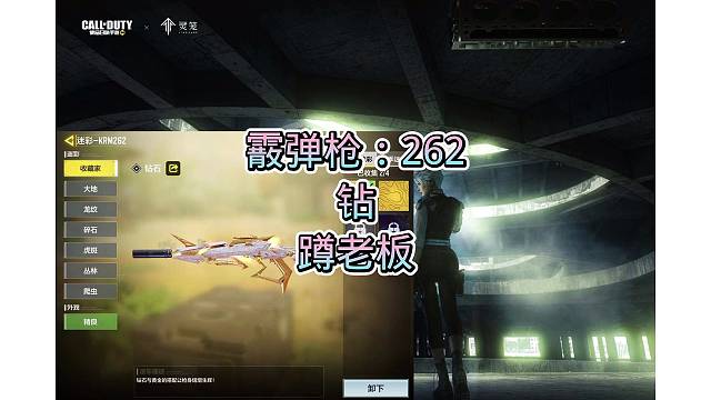 262钻皮，搞定，嘎嘎好看，嘎嘎奈斯，安排