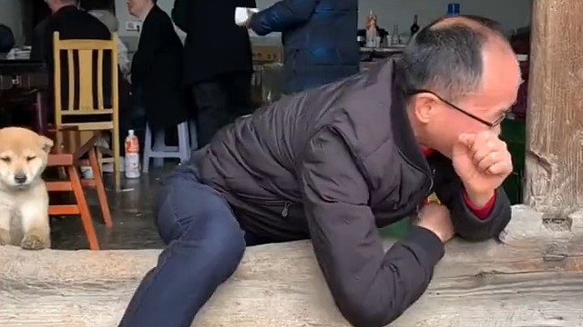 就像旁边的小二狗一样，它现在也很难越过去吧