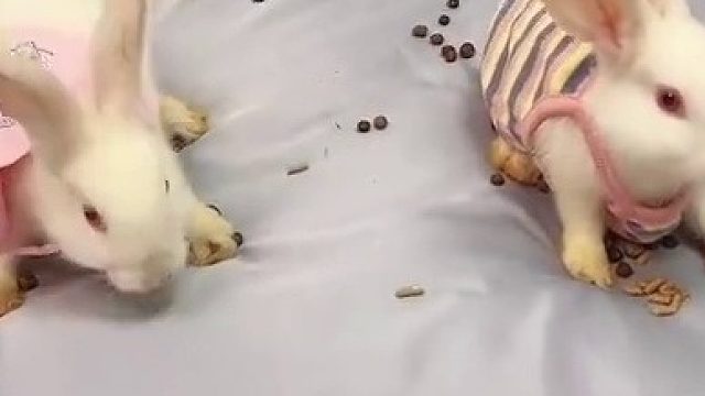 没想到啊！我怀疑我讲价被老板坑了