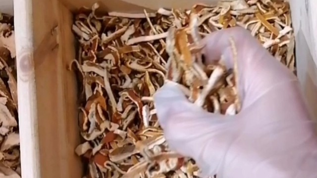 手抖？早发现早治疗早恢复