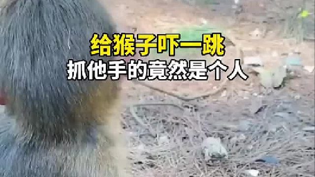 给猴子吓一跳，抓他手的竟然是个人