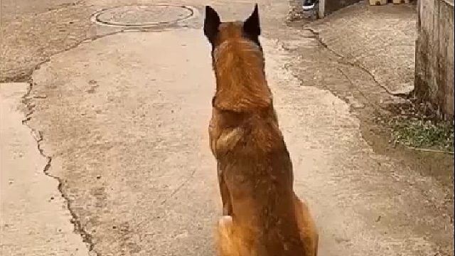 接头暗号对上了-过！！