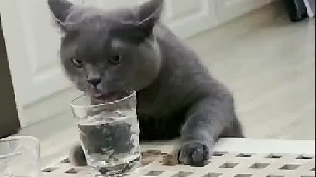 每條腿都有自已的想法，誰都不牽就誰，都有各自想去的地方。