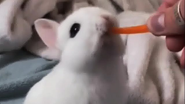 女友收到异地恋男友送的礼物，长大后惊艳众人还生了小宝宝