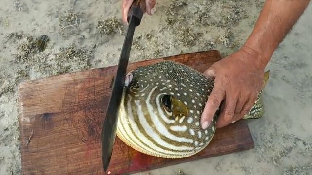 冒死吃河豚，老外魔鬼刀工“活切”鱼肉，网友：打心里佩服！