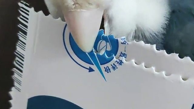 每买一张邮票，就有一只小鸟被抓去打孔，没有买卖就没有伤害