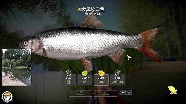 ㊗️：主打一个碰瓷，