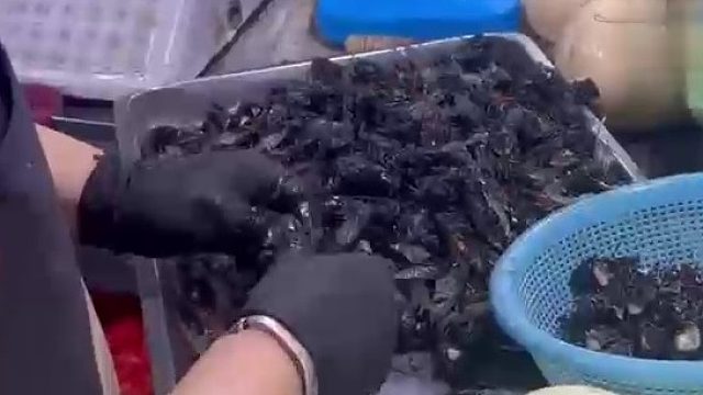 400元1斤！丽水的知了上桌了！你吃过吗？