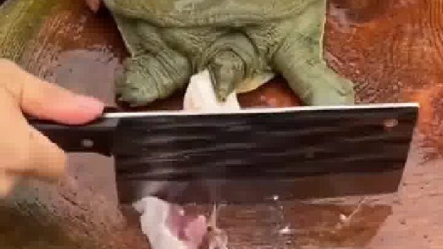 伸头是一刀，缩头是一刀