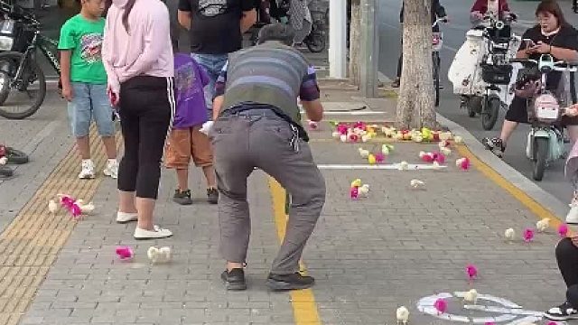 鸡：爷爷 爷爷  爷爷 爷爷