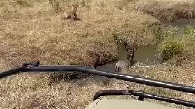 朋友满山遍野，但关键时刻没一个过来帮忙的……