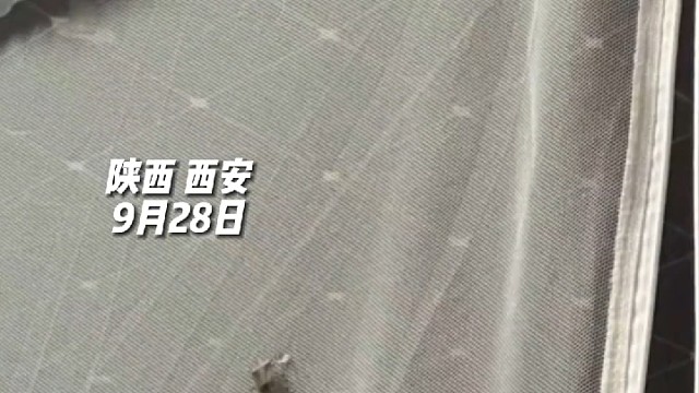 女生宿舍 里发现虫子，微信群里求助，“代打”们飞奔而至！