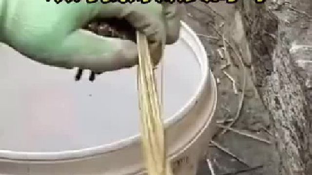 谁能解释下为什么绑螃蟹要用那么粗的绳子？就是单单为了增重吗？？