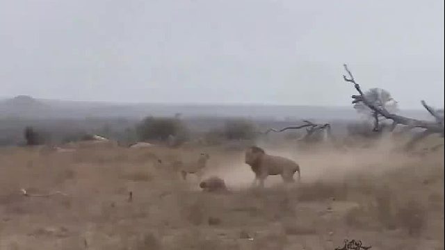 吃饱没事干，给二哥上一课。