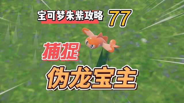 宝可梦紫攻略77：捕捉伪龙宝主