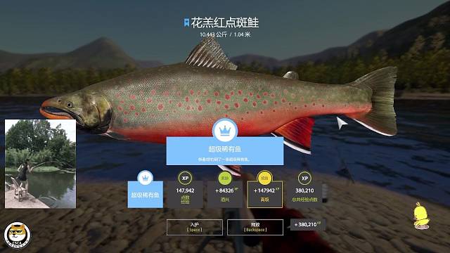 ㊗️：大蓝羔，针不戳。