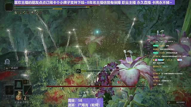 【沐】战技篇6-尸海流番外篇16 米兰达花（出血次数：1）