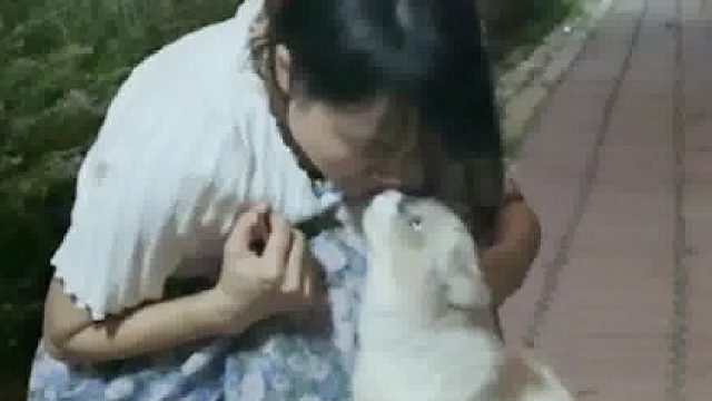 猫：我长得漂亮吗 用脑子换的哦