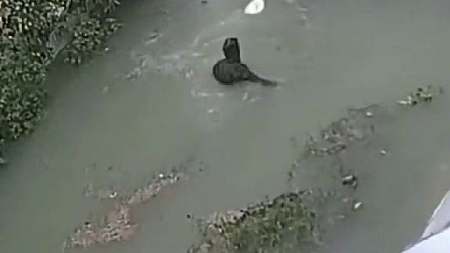 兄弟：你这是近视吗？