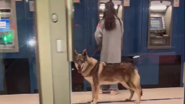 别靠近我妈哦！我的护卫能力很强的