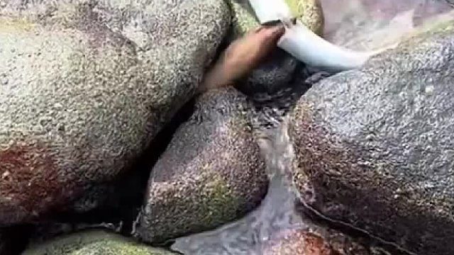 这小嘴像剪刀似的