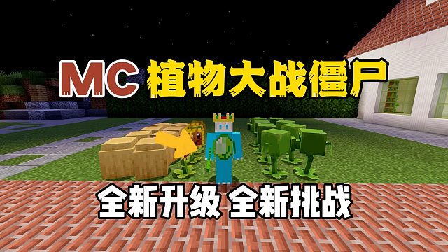 我的世界植物大战僵尸：难度全新升级，试玩一下！